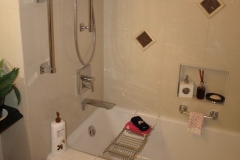 bathroom remodeling in Anthem